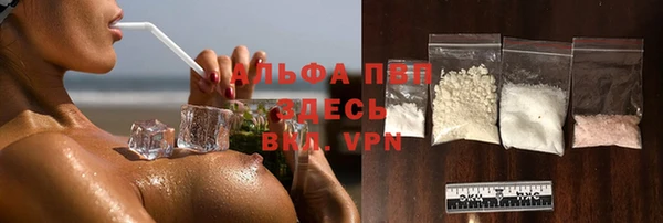 дживик Елабуга