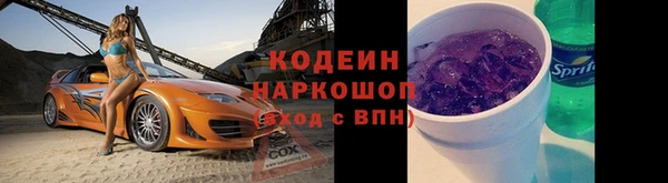 гидра Ельня