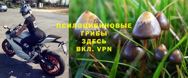 амф Богородск
