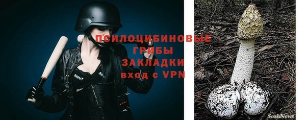 мет Богородицк