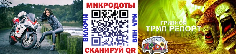 купить   ссылка на мегу ONION  Псилоцибиновые грибы GOLDEN TEACHER  Долинск 